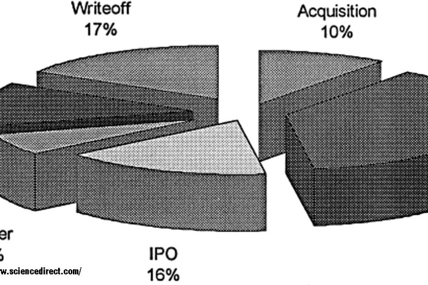 Why Do Venture Capital Firms Exist? Theory And Canadian Evidence