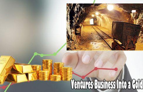 Ventures Assessment - The way to Turn a Ventures Business Into a Gold Mine