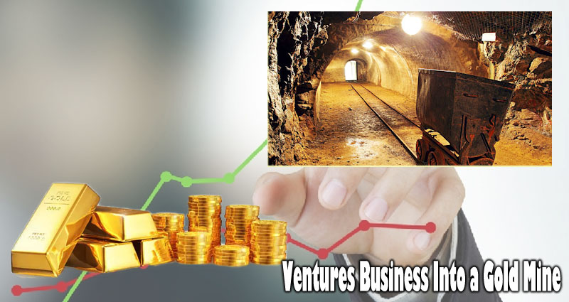 Ventures Assessment – The way to Turn a Ventures Business Into a Gold Mine