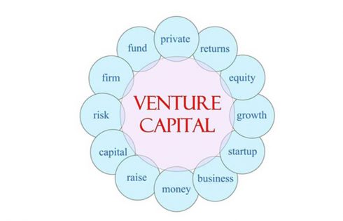 Making Venture Capital Loans - Important Things That You Should Know