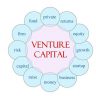 Making Venture Capital Loans – Important Things That You Should Know