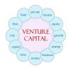 Making Venture Capital Loans – Important Things That You Should Know