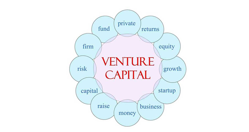 Making Venture Capital Loans – Important Things That You Should Know