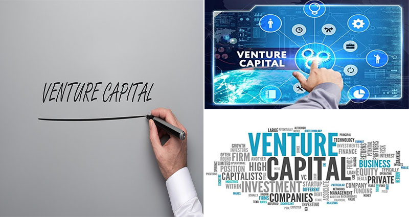 Advantages of Venture Capital Example