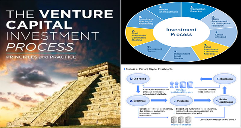 The Venture Capital Investment Process