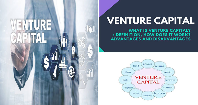 Venture Capital Advantages and Disadvantages