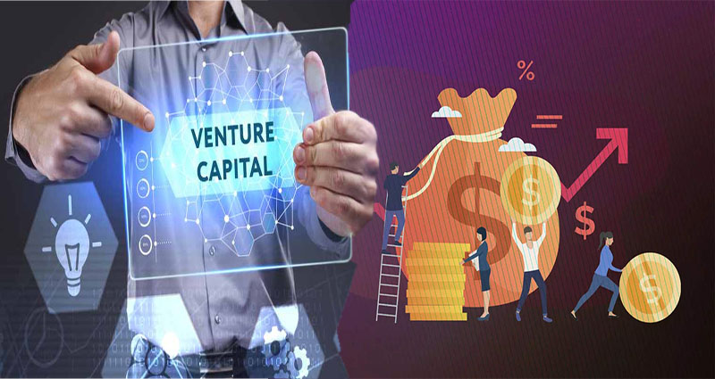 Venture Capital Firm Startup Definition