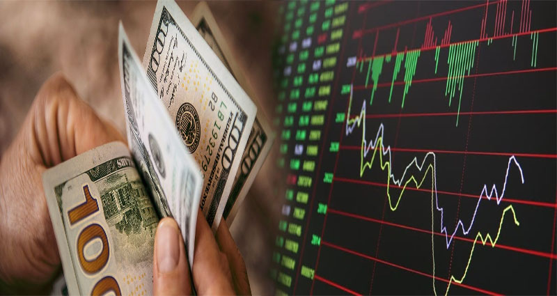 Exploring Private Equity Co-Investment Opportunities